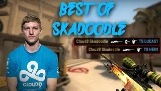 CS:GO Best of Skadoodle (THE BEST AWPER OF NA)