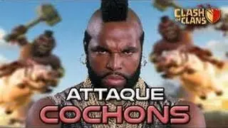 Like4you : Attaque full cochon