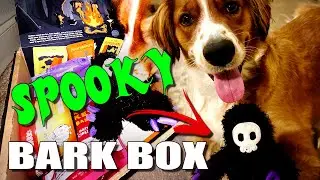 Spooky October Bark Box | Toy & Treat Review! #barkbox #furBaby