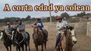 Entrenamiento de jóvenes coleadores🤠🐎