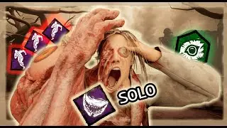 Solo Agitation Blight Against Dead Hards And 20384 Pallets From Dead Sands