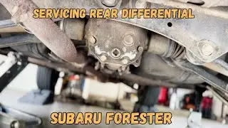 Servicing rear differential on a Subaru Forester | DIY Gear Oil Change