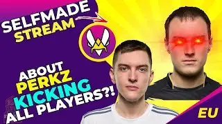 VIT Selfmade About PERKZ KICKING All Vitality Players?! 👀