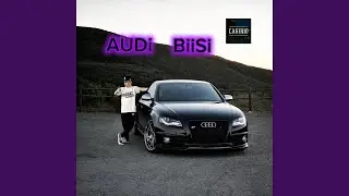 AUDi BiiSi