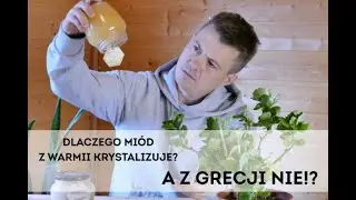 Czemu miód z Warmii twardnieje, a z Grecji zostaje płynny? 🐝 | Miody Wowka