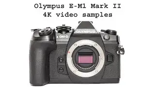 Olympus OM-D E-M1 mark II video samples