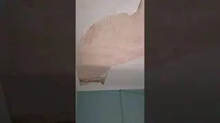 Stripping ceiling of woodchip