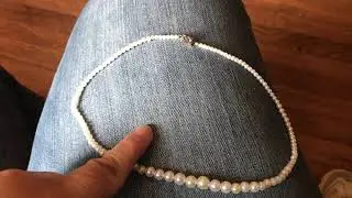 October 19 2021 finds at Savers thrift store