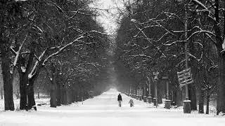 Valentуn Sіlvestrov. Three Waltzes (2024)