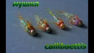 Мушка  