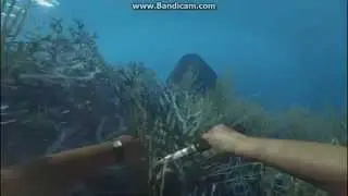 Stranded Deep