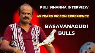 ಪುಲಿ ಸೀನಣ್ಣ Puli Sinanna Interview &ndash; PART 2 | 45 Years Pigeon Experience | Basavanagudi Bulls |