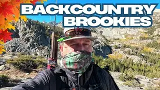 FALL FISHING: Backcountry brook trout