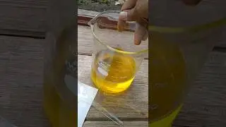 sodium metabisulfite in aqua regia solution #gold #electronicwaste