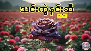 သင်းကွဲနှင်းဆီ | ဆရာမခင်ခင်ထူး | Audiobook by May | #whisperbymay