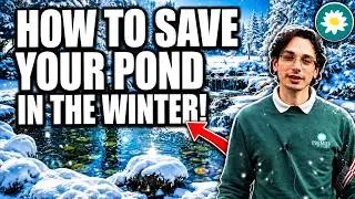 How to Prepare a Pond for Winter! ❄️🤔