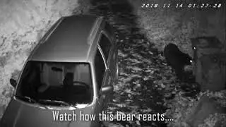 Bearproof your garbage
