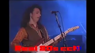 Lost Dogs - You Gotta Move - Live at Flevo Festival 1992 - (Video & Audio Remastered)