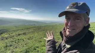 Big tule elk herd at Point Reyes National Park 12 5 25