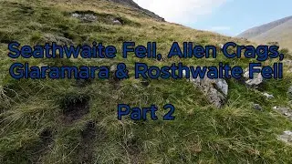 Seathwaite Fell, Allen Crags, Glaramara & Rosthwaite Fell - Part 2 - Step by Step - ASMR Walking