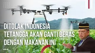 Malaysia Di Tolak Impor Beras Dari Indonesia, Malaysia Akan Ganti Beras Dengan Makanan Ini