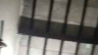 islam is life is live