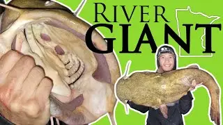 Fishing for GIANT Flathead Catfish (Jet Boat Fishing)