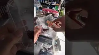 thuốc trị bệnh cá exter đỏ và fast exter