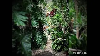 Ideas of beautiful different gardens please watch (+)