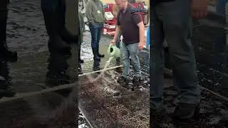 Большинство уборщиков не умеют этого делать... 🤫