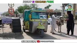 Donkey In Rakshaw Prank  By Nadir Ali in  P 4 Pakao  2020