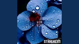 Vergiss mein nicht