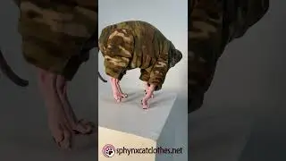 Camo Fleece Onesie for Sphynx Cats | Cozy & Stylish Comfort! #CatFashion #PetClothing
