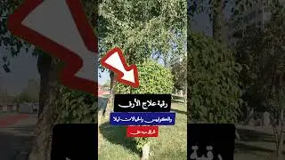 Islamic Ruqyah (spiritual healing) #explore