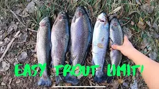 Trout Fishing with Senkos and Notorious Jigs