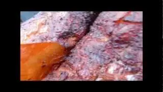 Pitmaker BBQ Safe Brisket Practice & Sweet 16