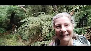 Waitawheta 19 August 2025
