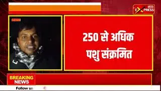 हाथरस: पशुओं में खुरपका-मुंहपका रोग, ग्रामीणों ने निकाला खप्पर || Jan Express