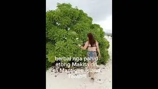 herbal nga pahid #mantigue #herbal #pahid #youtubeviral
