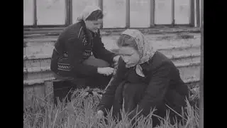 Kohtla-Järve sovhoosi aiamajand (1957)