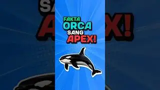 Ternyata Raja Laut Bukan Hiu Putih! 😱 #shorts #faktaunik #edukasi #laut #orca #killerwhale #hiuputih