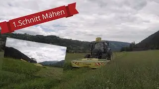 1.Schnitt 11.06.2022 SPÄT ABER DOCH!