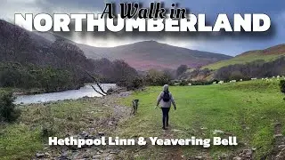 Northumberland - Uncovering the Secrets of St. Cuthbert's Way: Wild Goats & Yeavering Bell