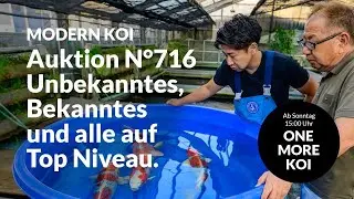 Konishi Koi News - Alle Koi aus Auktion No. 716 im Detail erkl&auml;rt