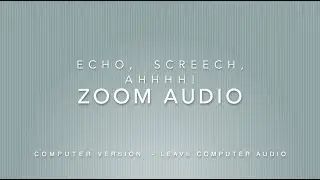 Zoom Audio Echo Computer Version