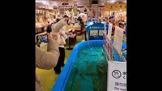 Most Exciting Squid Fishing In Japan! 🇯🇵