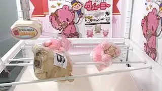Video 3/3 [ChaxGP - Mischief Bear Gloomy 20th Anniversary Special Plushy B]!!