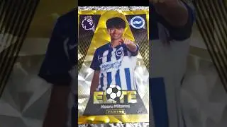 Panini Premier League 2024 Elite Stickers #stickers #paninistickers #football #premierleague #sorts