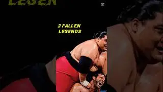 Rip Fallen Legend #wwe #wcw #shorts #wrestling #entertainment #youtubeshorts #tv #show #usa #sub #us