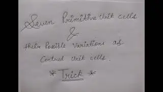 chemistry short trick 🖊🧪( Seven primitive unit cells )